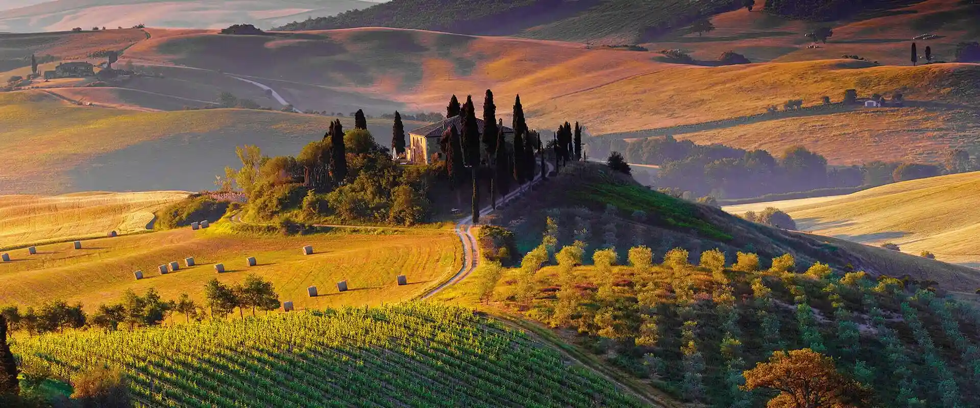 Panoramic view of Val d'Orcia rolling hills with farmhouses
